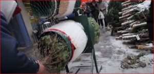 Christmas Preparations