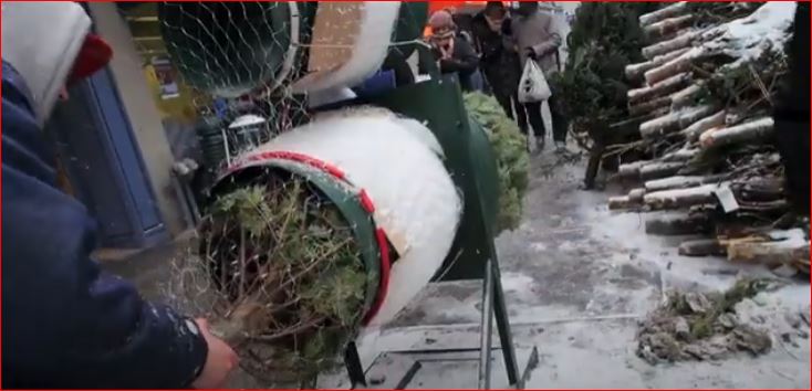 Christmas Preparations